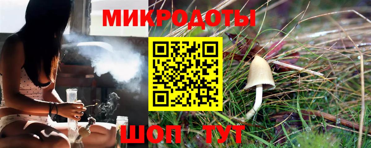 Псилоцибиновые грибы мухоморы Пушкино