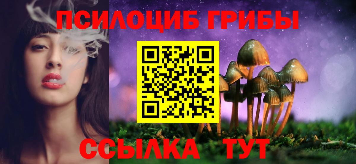 Пушкино  Галлюциногенные грибы Psilocybine cubensis  Вход с VPN 