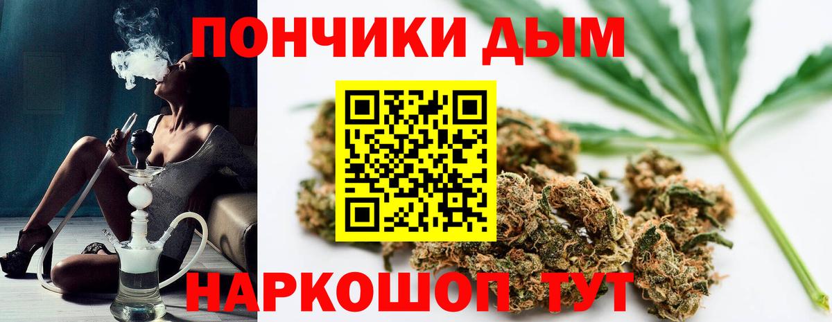 Пушкино  Бошки Шишки конопля  Конопля VHQ  Вход с VPN  Бошки Шишки Amnesia  Канабис план 